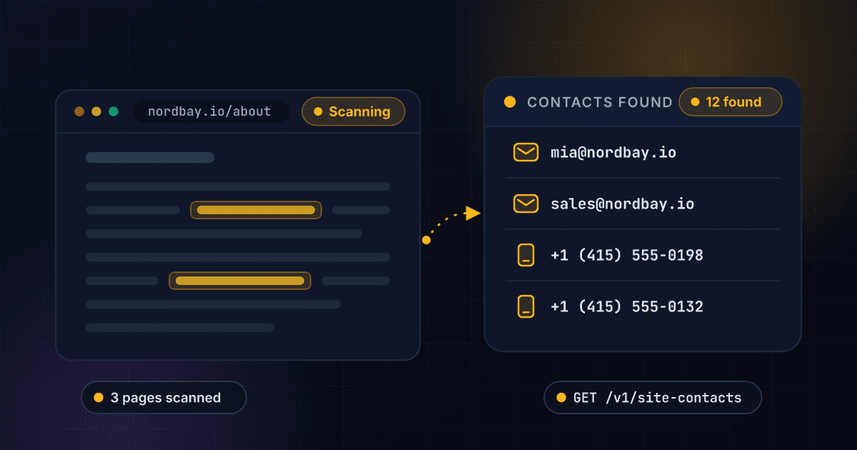 1Lookup website contacts scraper extracting emails and phone numbers from a company website into a structured list